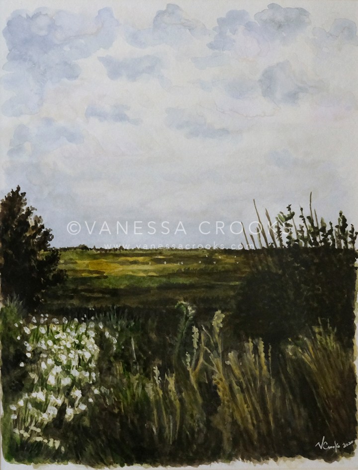 Verano en la&nbsp;ciénaga